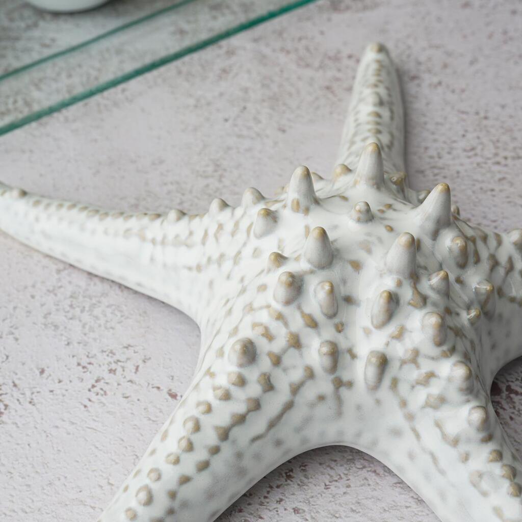Блюдо для подачи 24 см h6 см для закусок Звезда Gray Starfish Frutti di Mare P.L. [1]